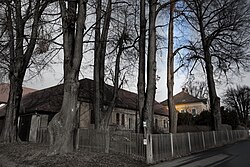 Kleinblättrige Linde (Tilia parviflora)