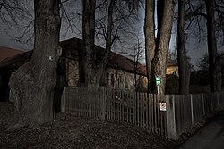 Kleinblättrige Linde (Tilia parviflora)