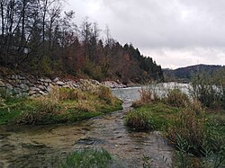 Isar-Prallhang bei Geretsried-Gartenberg