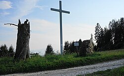 Fichte in Wandelitzen, Jörg-Fichte