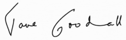 Faksimile der Unterschrift Jane Goodalls