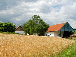 Grünzer Keller in Grünz (Obritzberg-Rust)
