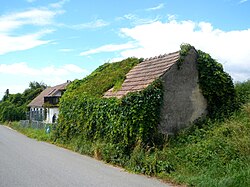 Mamauer Kellergasse in Untermamau (Karlstetten)