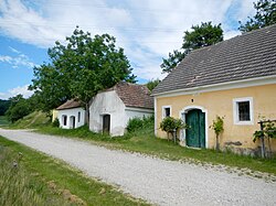 Weingarten in Untermamau (Karlstetten)