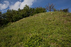 Trockenrasen Trauntal