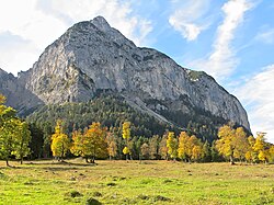 Großer Ahornboden