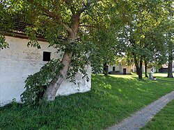 Grafendorfer Kellergasse in Untergrafendorf (Böheimkirchen)