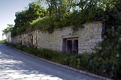 Kellergasse Klein-Jetzelsdorf in Klein-Jetzelsdorf (Röschitz)