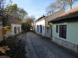 Kellergasse Straninger Straße, Limberg in Limberg (Maissau)