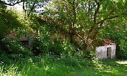 „Kellergasse“ in Mörtersdorf (Rosenburg-Mold)