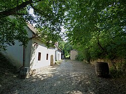 Mitterfeld (Unterwinden) in Unterwinden (Herzogenburg)