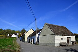 Kellergasse Oberdürnbach, Sonnwendberg in Oberdürnbach (Maissau)