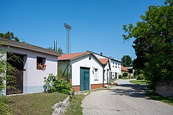 Kellergasse in Untersiebenbrunn (Untersiebenbrunn)