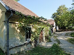 Wiege (St. Andrä) in St. Andrä an der Traisen (Herzogenburg)