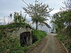 Kellergasse Wilhelmsdorf in Oberravelsbach (Ravelsbach)