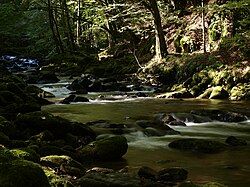 Tal des Kleinen Kösslbaches