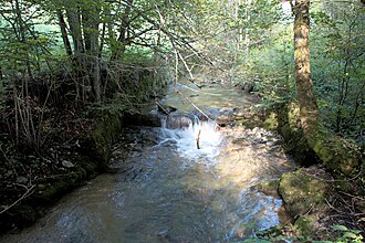 Der Alterbach im Gemeindegebiet von Koppl auf Höhe Guggenthal