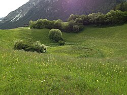 Krötenweiher südwestlich der Annakapelle