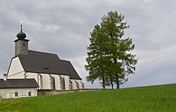 Lärche in Rauchenödt