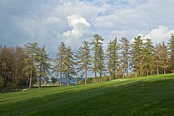Lärchen- und Lindenallee in Weitra