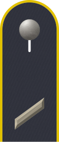 Dienstgradabzeichen auf der Schulterklappe der Jacke des Dienstanzuges für Luftwaffenuniformträger.