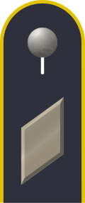 Dienstgradabzeichen auf der Schulterklappe der Jacke des Dienstanzuges für Luftwaffenuniformträger.