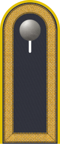 Dienstgradabzeichen auf der Schulterklappe der Jacke des Dienstanzuges für Luftwaffenuniformträger.
