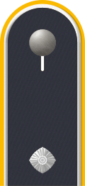 Dienstgradabzeichen auf der Schulterklappe der Jacke des Dienstanzuges für Luftwaffenuniformträger.