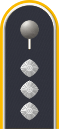 Dienstgradabzeichen auf der Schulterklappe der Jacke des Dienstanzuges für Luftwaffenuniformträger.
