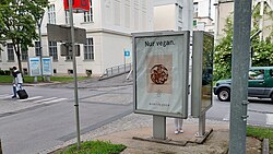 Künstlerisches Gesamtkonzept