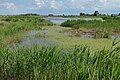 Oberer Stinkersee