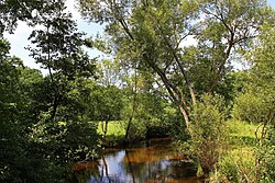 Alte Lainsitzschlingen