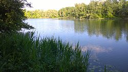 Landschaftssee Laafeld