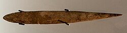 Lautscher Spitze, Fund von 1837