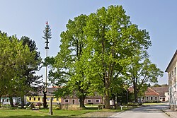 2 Linden beim Kriegerdenkmal, 2 Linden beim Hl. Johannes Nepomuk