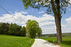 Allee an der L 8180 bei Gr. Radischen
