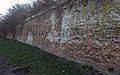 Reste des Linienwalls am Donauprallhang nahe Anton-Kuh-Weg