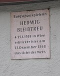 Hedwig Bleibtreu, Schauspielerin