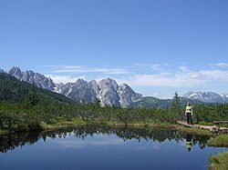 OÖ. Löckermoos Gosau Gosaukamm