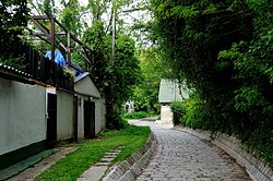 Luckenholzgasse in Stammersdorf (Wien)
