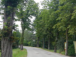 Rosskastanienallee