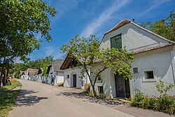 Rosenpoint in Mailberg (Mailberg)