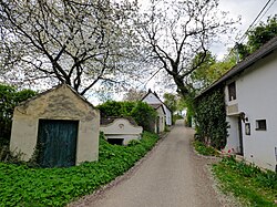 Kellergasse Maissau, Oberer Weg (bei Friedhof) in Maissau (Maissau)