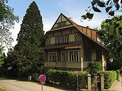 Baumgruppe (1 Mammutbaum, 2 Eiben)