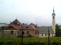 Mariaheim mit Weinbergen