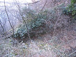 Trasse der Standseilbahn auf den Virgl