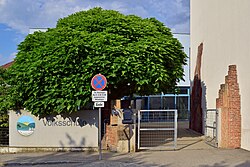 Eingangsbereich der Volksschule in Mautern a.d. Donau