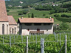 Mesnerhaus in der Vill