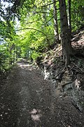 Fußweg