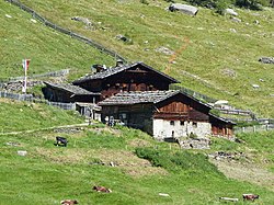 Mitterkaser in Pfossental